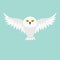 Snowy white owl. Flying bird with big wings.