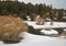 Snowy Winter Creek Tree Island