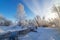 Snowy winter forest with bushes and trees on the stream Bank, Russia, the Urals