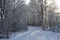 Snowy winter forest road. Frost and Sun.