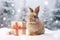 In a snowy winter forest we see a small rabbit next to a Christmas present.