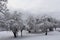 Snowy winter landscape