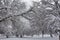 Snowy winter landscape