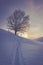 Snowy winter landscape in the alps, sunrise with halo phenomena