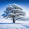 snowy winter landscape with frosted pine created with