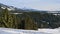 Snowy winter landscape with spruce trees under High Tatras mountain.