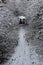 Snowy winter landscape. Tunnel of trees covered in snow. Ribble valley walks in a cold landscape