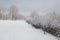 Snowy winter landscape. Tunnel of trees covered in snow. Ribble valley walks in a cold landscape