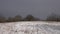 Snowy winter landscape, wind blowing snow on the hill.