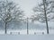 Snowy winter morning in the city park. Bare trees, street lamp and benches covered with snow. Calm seasonal scene, cold air