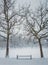 Snowy winter morning in the city park with a bench in the snow between two bare trees. Calm seasonal scene, cold air atmosphere