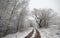 Snowy winter morning country road