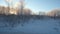 Snowy winter road in pine, birch forest and field. Landscape with empty highway going through winter forest. Car