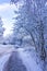 Snowy winter snow and ice landscape panorama view Bremerhaven Germany