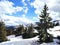 Snowy winter Ukrainian Carpathian mountain with fir forest