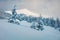 Snowy winter view of mountain with snow covered fir trees, Carpathians, Ukraine, Europe. Dreamy outdoor scene, Happy New Year
