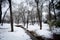 Snowy winter wonderland trees and forest in park with snowcover on ground and creek