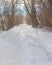 Snowy wintery nature forest foot path through forest - cross country skiing, hiking, fat tire bike recreation -in the Minnesota Va