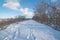 Snowy wintery nature forest foot path through forest - used to be a road - cross country skiing, hiking, fat tire bike recreation