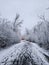 Snowy Wintery Path