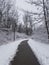 Snowy Wintery Pathway