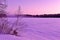 Snowy wintry scene in Lapland Finland