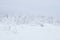 Snowy wooded landscape with frost-covered gazebo