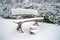 Snowy wooden bench in the forest