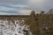 Snowy wooden pathway in sunlight through swamp from viewing platform