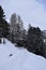 Snowy woods in Obergurgl ski resort, Tyrol, Austria