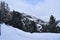 Snowy woods in Obergurgl ski resort, Tyrol, Austria