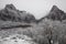 Snowy Zion National Park