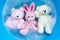 Soak rabbit doll with  toy bears in laundry detergent water diss