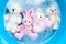 Soak rabbit doll with  toy bears in laundry detergent water diss