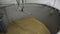 Soaking malting barley in tanks at the brewery. Brewing concept. Brewing technology.