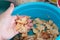 Soaking wild mushroom in a basin