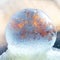 Soap bubble frozen