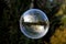 Soap bubble reflecting spring