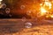 Soap bubbles into the sunset .blurred