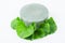 Soap centella asiatice with fresh green leaf centella