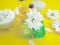 Soap, cream cosmetic flower natural collection chrysanthemum on a colored background