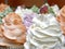 Soap cupcakes of rose, orange, lavander and mint