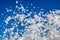 Soap foam flies into the sky, blue background.