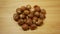 Soap nuts Indian soapberry or washnut, Sapindus mukorossi reetha or ritha from the soap tree shells are used to wash