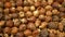Soap nuts Indian soapberry or washnut, Sapindus mukorossi reetha or ritha from the soap tree shells are used to wash