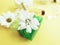 Soap, salt, oil, cosmetic cream collection chrysanthemum extract organic flower hygiene yellow background