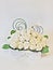 Soap white Roses arrangements in box, eternal and romantic flowers gift