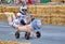 Soapbox Race