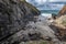 Soapy Cove with Common Seal or Harbour Seal Phoca Vitulina on the  Lizard  peninsular Cornwall