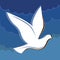Soaring dove in the blue sky logo